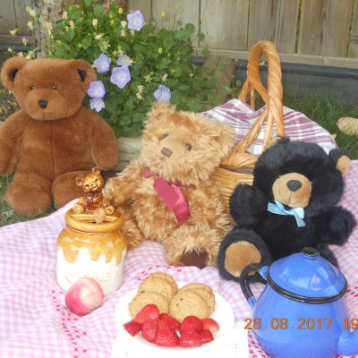 Waskasoo Forest News & Fun - Summer 2017